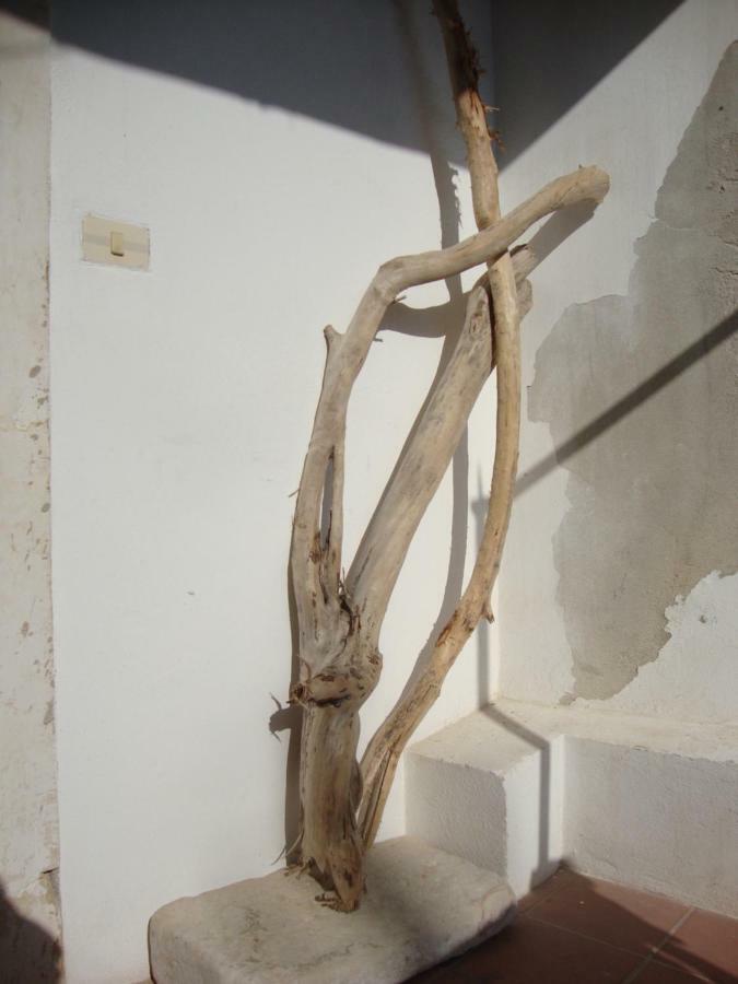 דירות סירקוזה Il Nido Di Diana In Ortigia מראה חיצוני תמונה